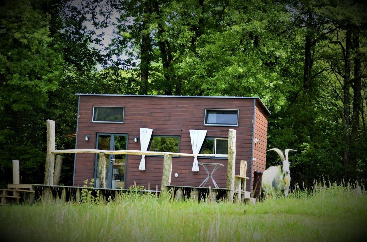 La Tiny House Terra Nostra Apartment Saint-Bazile Екстериор снимка